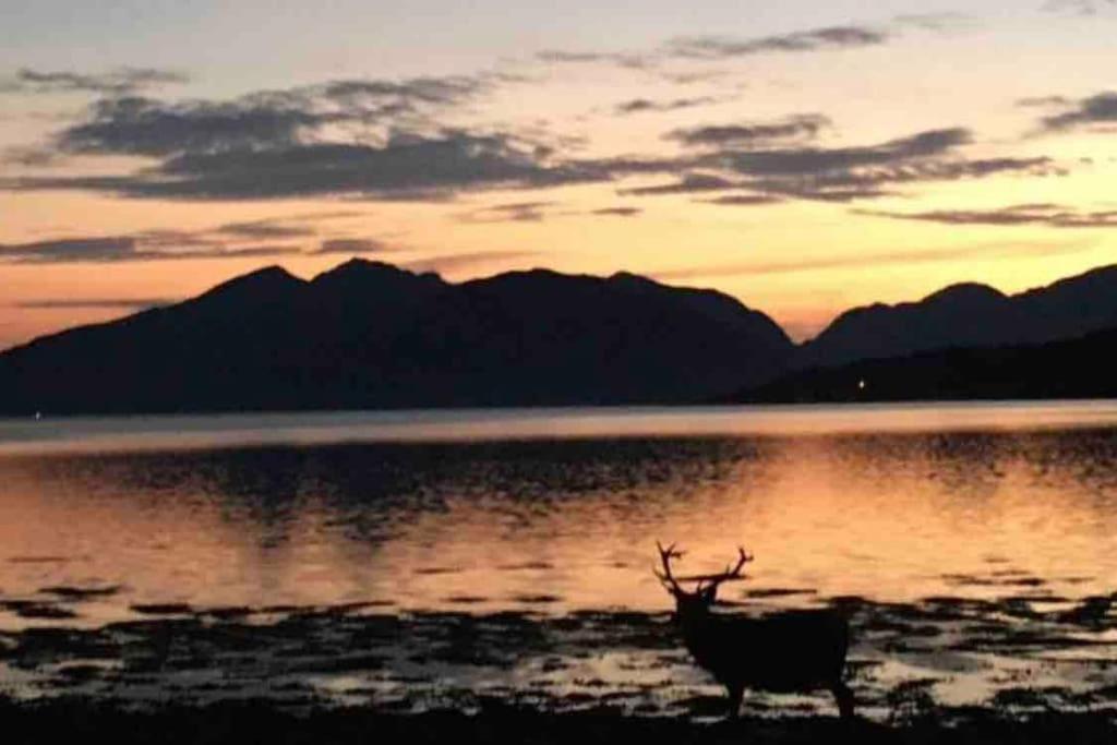 The Fox'S Den, Luxury Cosy Mini Lodge, Highlands North Ballachulish Esterno foto