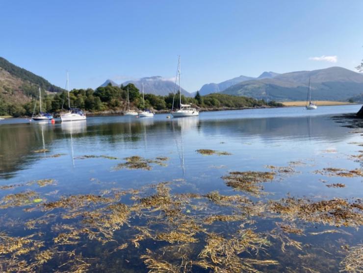 The Fox'S Den, Luxury Cosy Mini Lodge, Highlands North Ballachulish Esterno foto